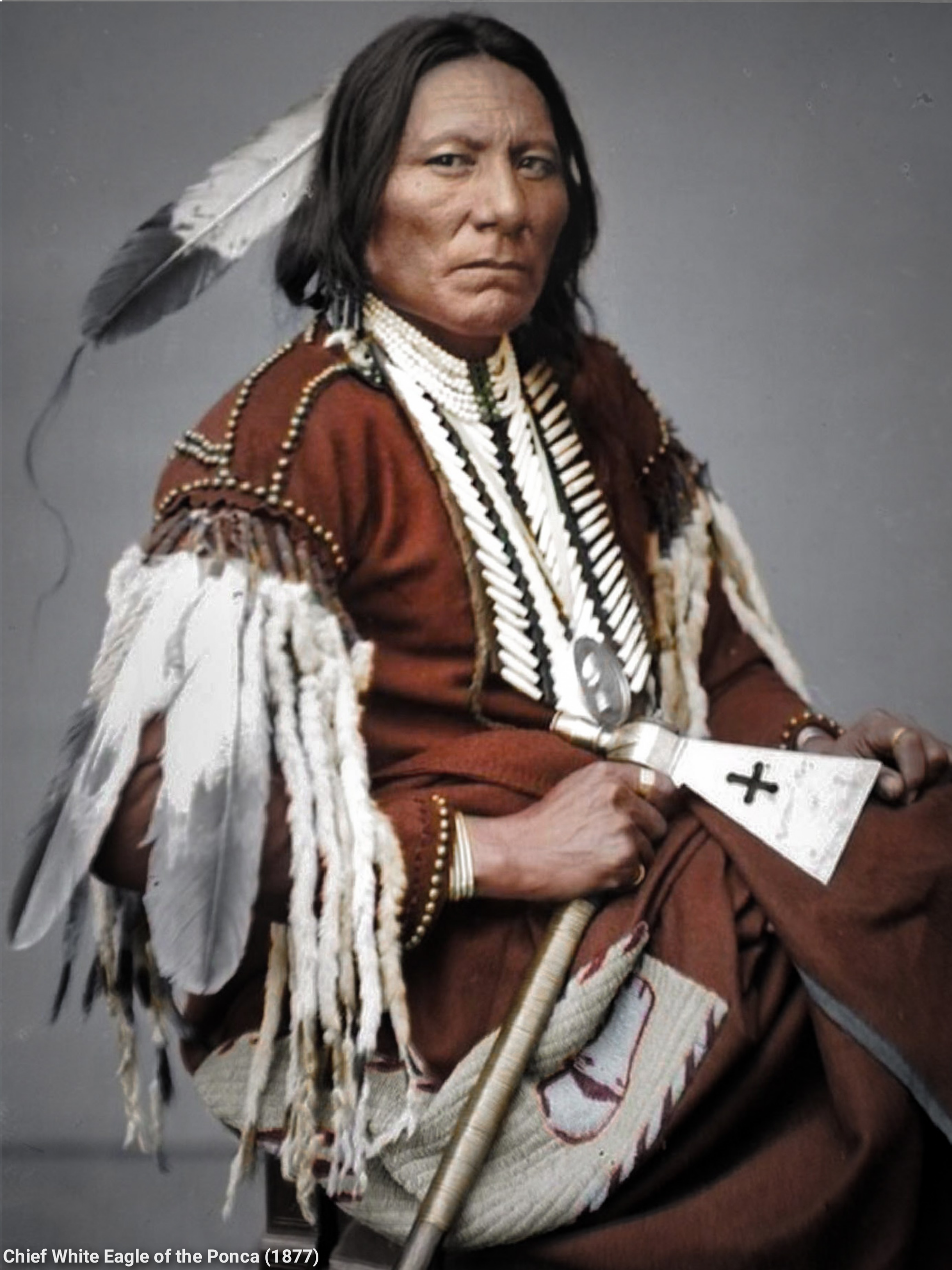 Chief White Eagle of the Ponca, 1877